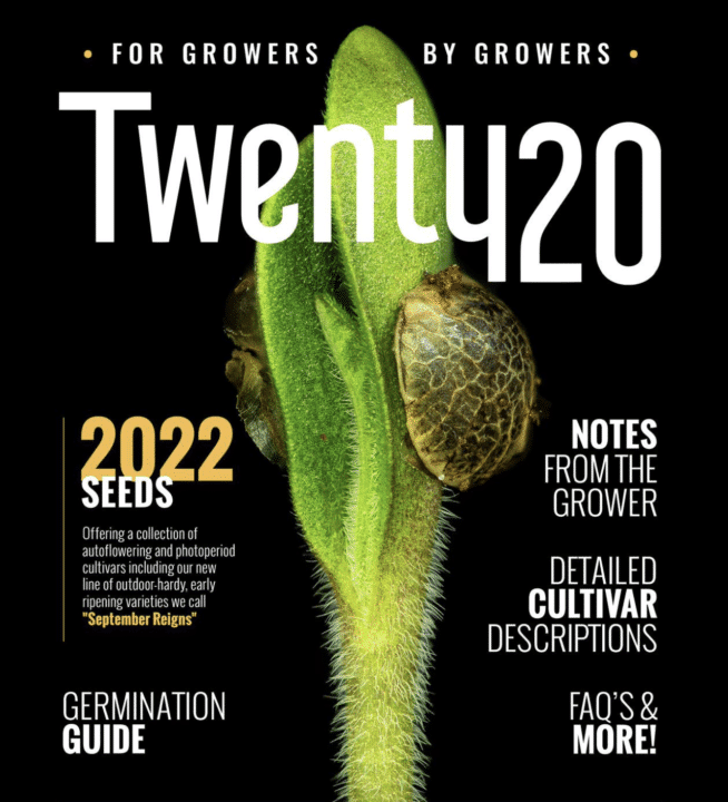 Twenty20 Magazine