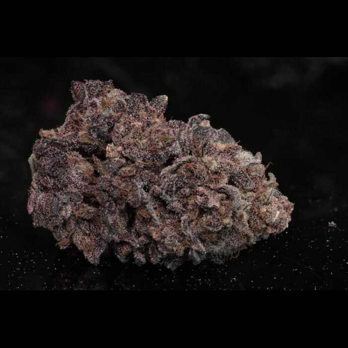 A purple autoflower cannabis flower on a black surface.