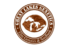Logo for Great Lakes Genetics showcasing their autoflower cannabis seeds.