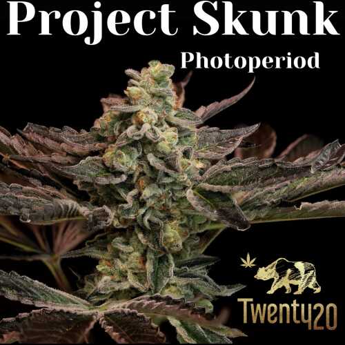 Project Skunk