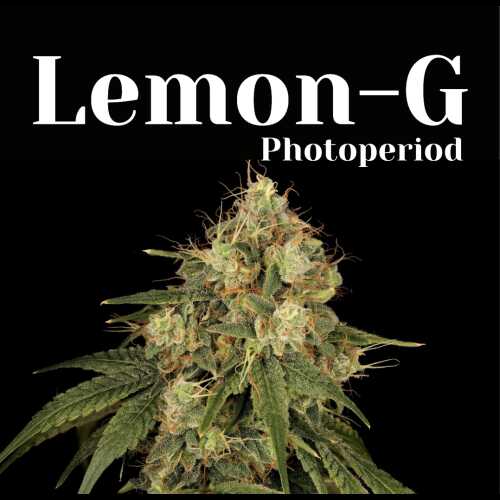 Lemon-G
