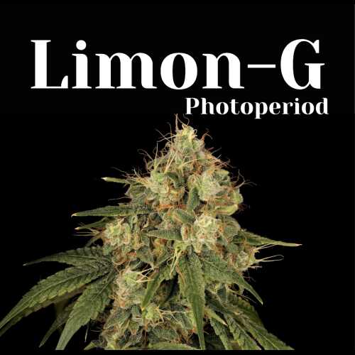 Limon-G